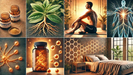 Ashwagandha for Recovery After Exercise: Boost Your Post-Workout Healing