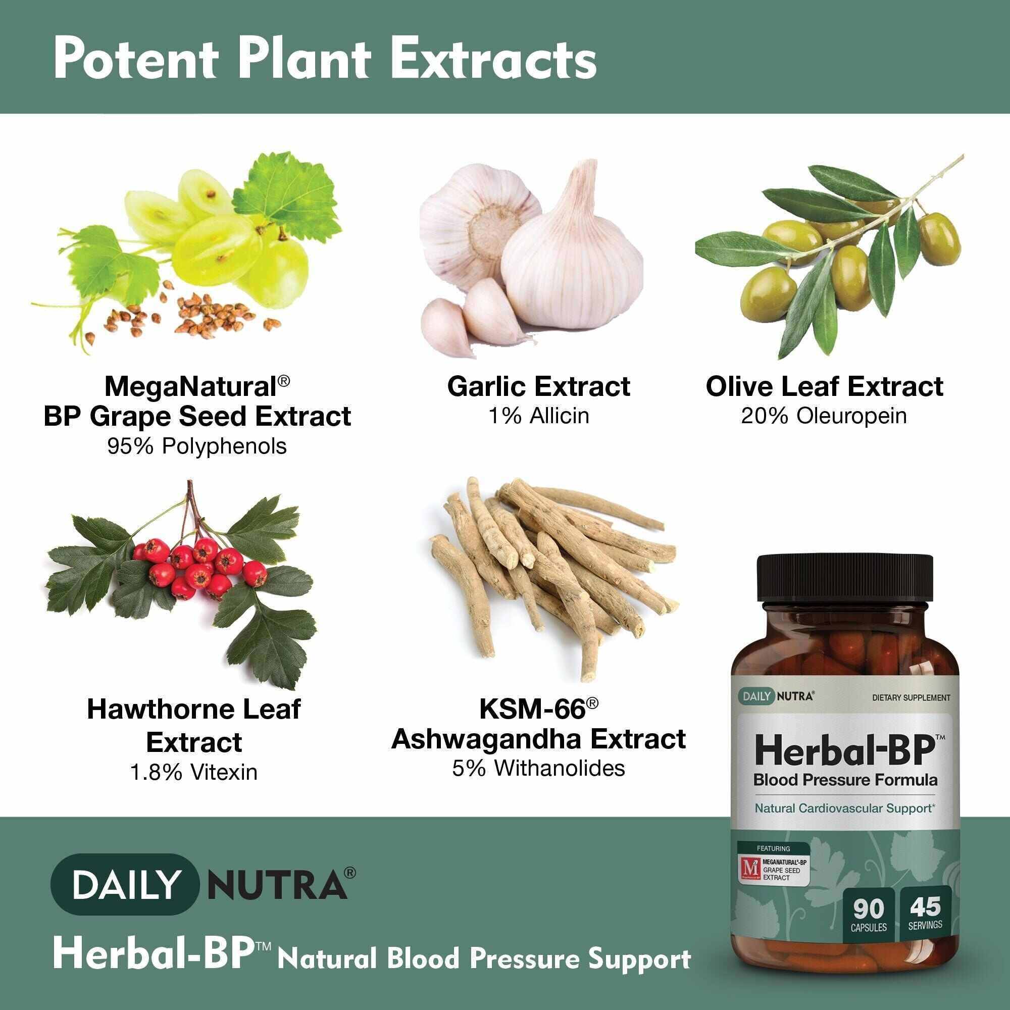 Herbal-BP Blood Pressure Support