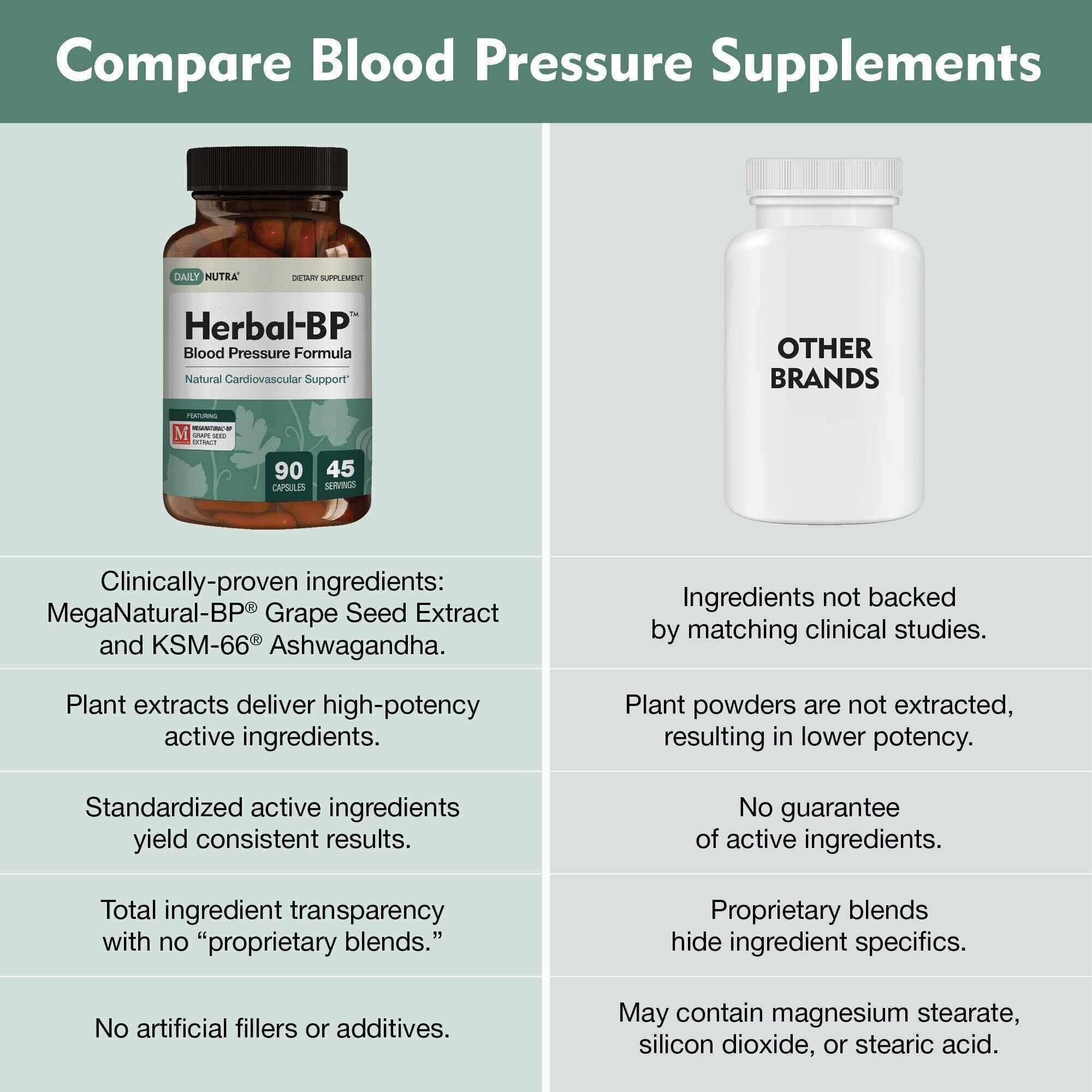 Herbal-BP Blood Pressure Support