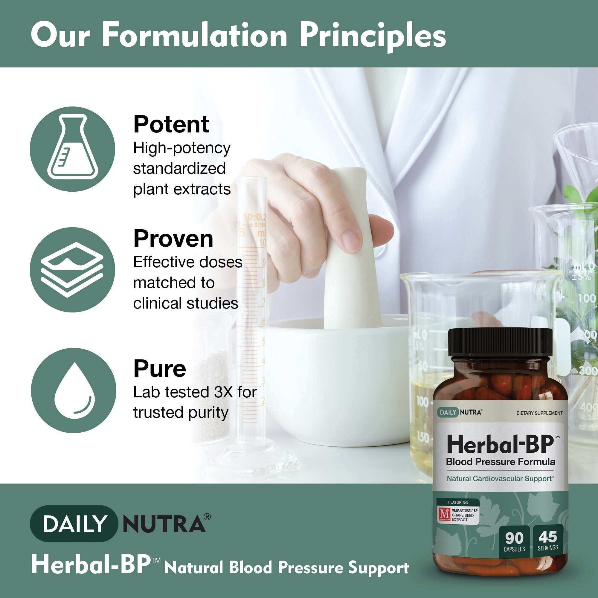 Herbal-BP Blood Pressure Support