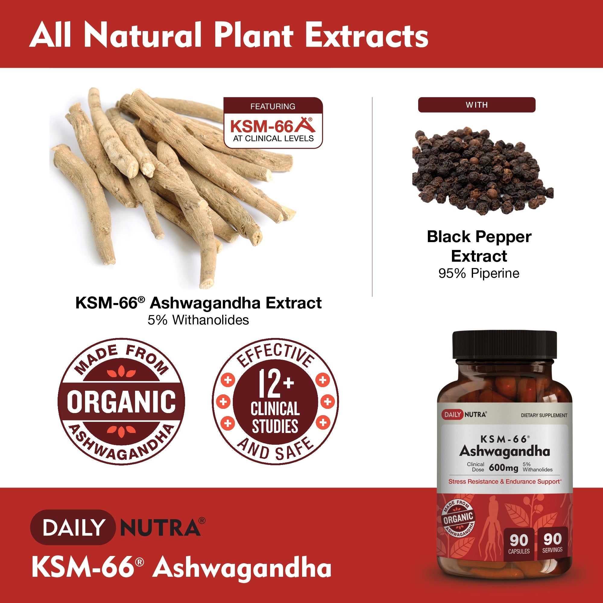 DailyNutra-Product-Images-KSM-Ashwagandha-3